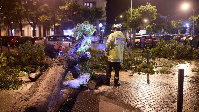 Varios bomberos trabajan en la retirada de un árbol caído durante la tormenta en la calle San Fermín de Pamplona. IÑIGO ALZUGARAY