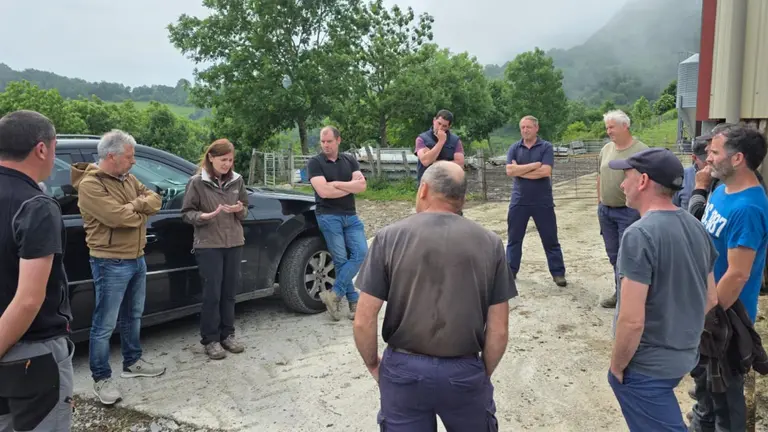 UAGN alerta a Gobierno de Navarra de los ataques de buitres al ganado. CEDIDA