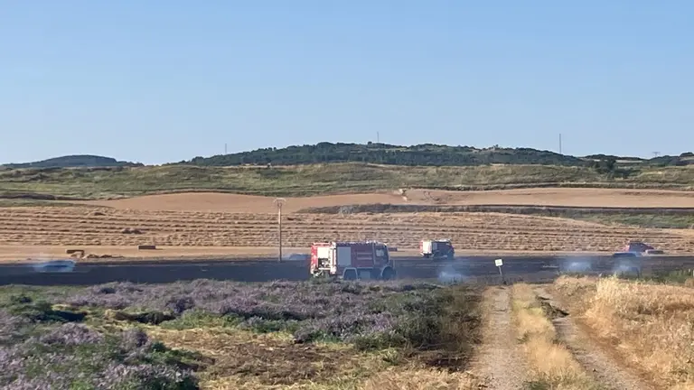 Incendio de pinar en monte Enfrente en Falces. BOMBEROS DE NAVARRA