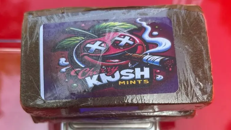 Hachís incautado en Arano. POLICÍA FORAL