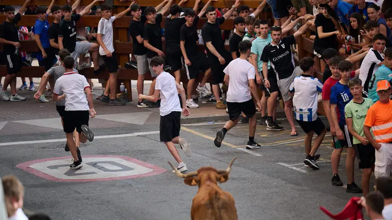 Tarde de vacas en las fiestas de Mutilva 2025. PABLO LASAOSA