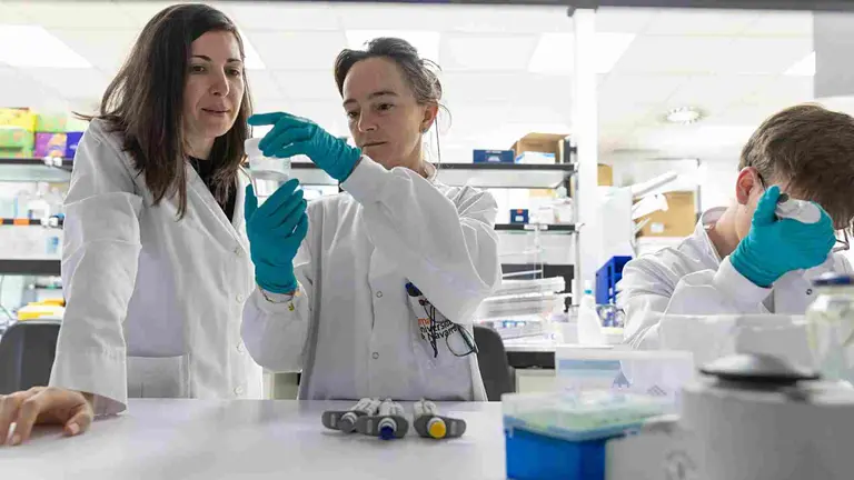 Laboratorio de Estrategias de radioterapias para tumores pediatricos del Centro de Investigaciones Médicas Aplicadas de la Universidad de Navarra. CIMA