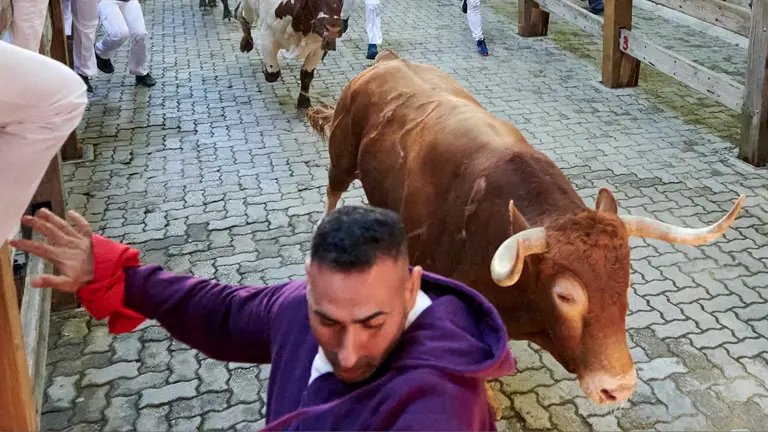 Tercer encierro de San Fermín 2025 con toros de Álvaro Nuñez en la bajada del callejón en Telefónica. IRANZU LARRASOAÑA