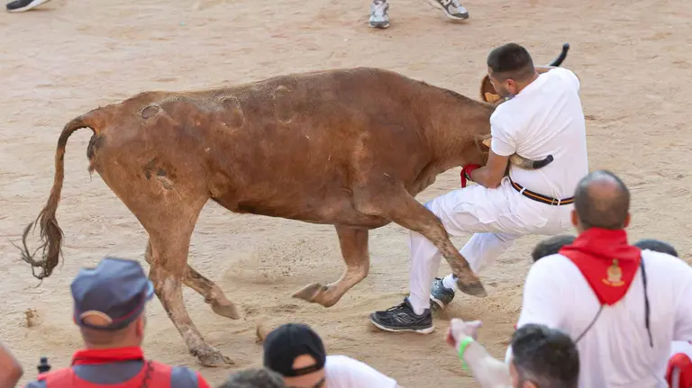 Suelta de vaquillas tras el cuarto encierro de San Fermín. Maite H. Mateo.-11
