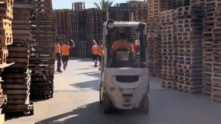 La empresa murciana JC Palets organiza un encierro a su manera. TIKTOK