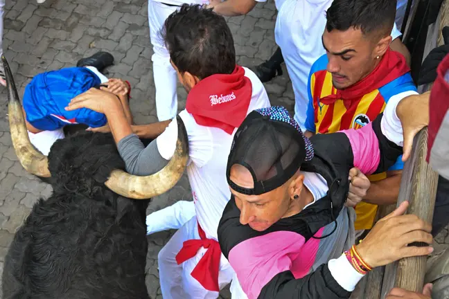 Séptimo encierro de San Fermín 2025 el día 13 de julio con toros de La Palmosilla en Telefónica. EFE - DANIEL FERNÁNDEZ (3)