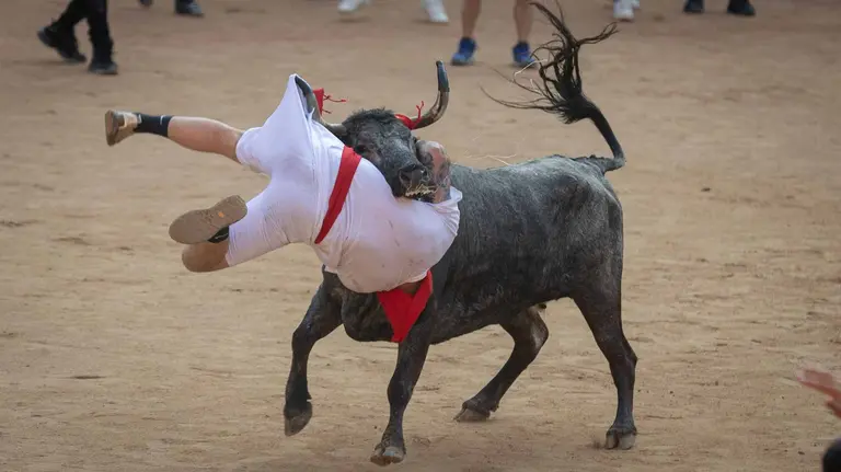 Suelta de vaquillas tras el octavo encierro de San Fermín.Maite  H. Mateo..-38