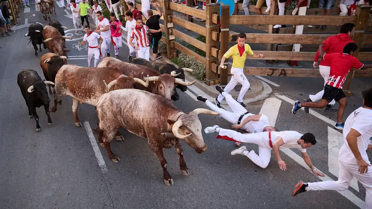 Segundo encierro de fiestas de Tudela 2025 con toros de la ganadería de Herederos de Gregorio Garzón Valdenebro (Jaén). PABLO LASAOSA