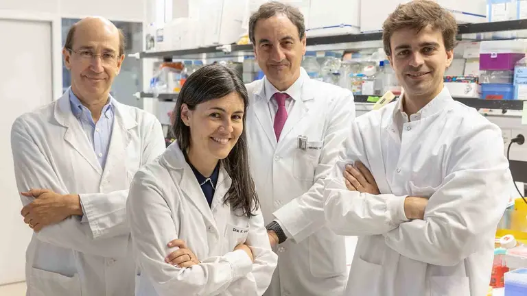 De izquierda a derecha, los doctores Fernando Lecanda, Karmele Valencia y Rafael Martínez Monge, del grupo de Adhesión y Metástasis del Cima, con el Dr. Borja Ruiz-Fernández de Córdoba, autor también del trabajo e investigador postdoctoral en la Universidad de California en San Francisco. CLÍNICA UNIVERSIDAD DE NAVARRA