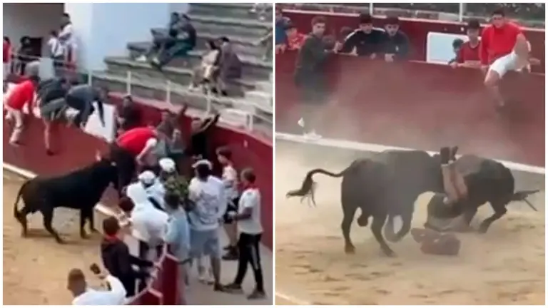 Fotogramas con dos cogidas en la plaza de toros de Estella durante el primer encierro de 2025. CEDIDA
