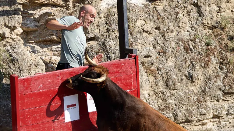 Encierro del Estrecho de Arguedas 2025 con reses bravas de la ganaderia de Víctor Ustárroz de Arguedas. IÑIGO ALZUGARAY