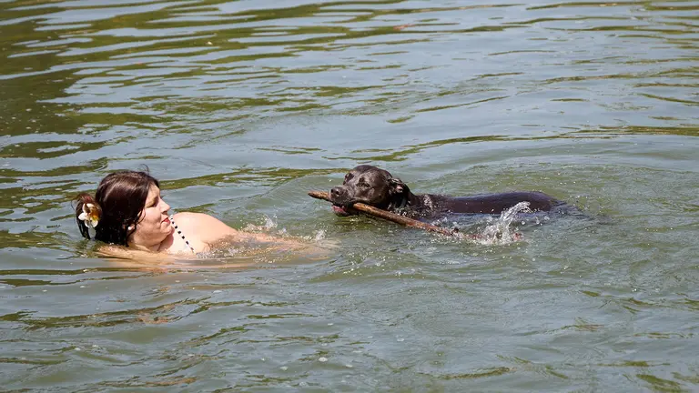 Zona de las pasarelas del río Arga junto al Club Natación en Pamplona durante la de calor de Agosto de 2025. IÑIGO ALZUGARAY
