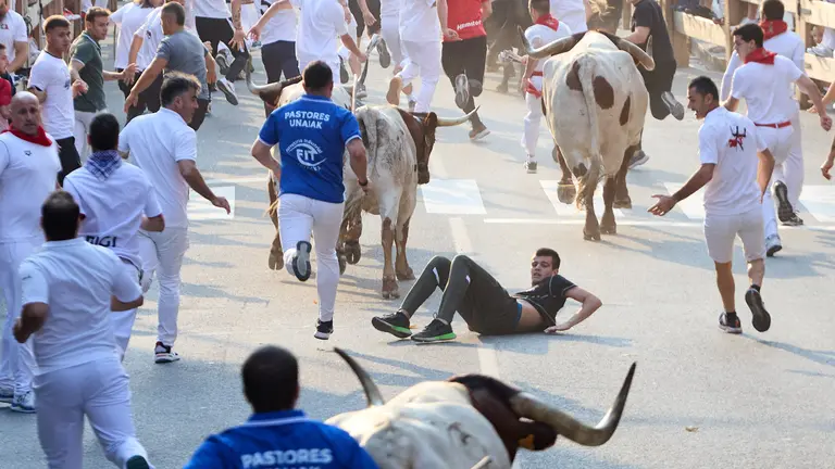 Segundo encierro de las fiestas de Tafalla 2025 con toros de la ganadería de Palha. IÑIGO ALZUGARAY