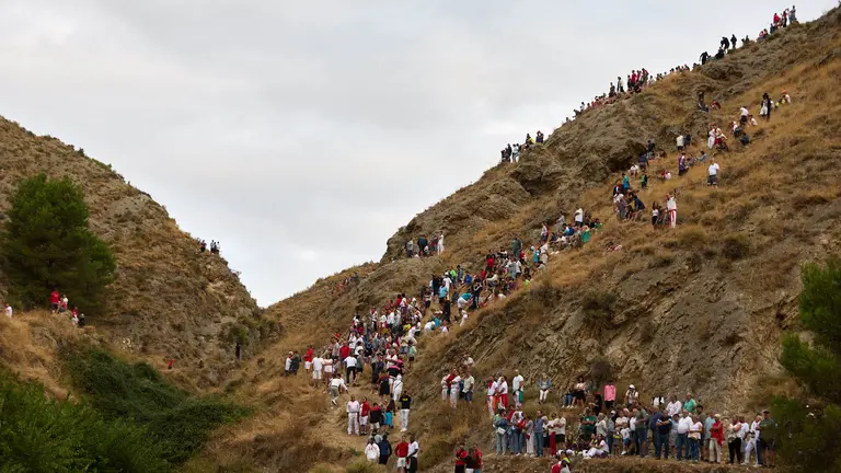Tercer encierro del Pilón en las fiestas de Falces de 2025 con vacas de la ganadería de Teodoro Vergara de Falces. IÑIGO ALZUGARAY