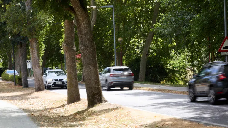 Carretera de la Universidad de Navarra en Pamplona. IÑIGO ALZUGARAY