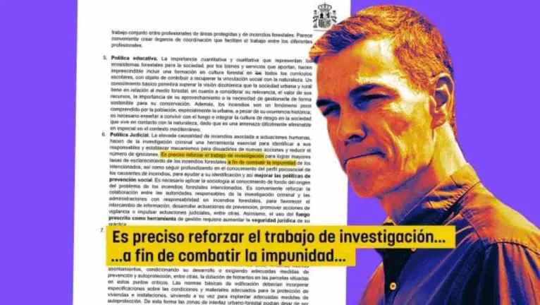 Incendios El Gobierno admite la «impunidad» de los pirómanos mientras Sánchez culpa a la "ola de calor". OK DIARIO