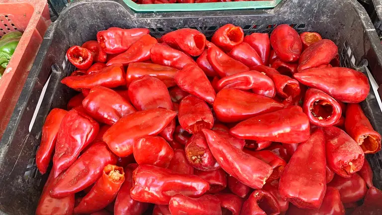 Una caja con pimiento del piquillo preparada para su venta. Navarra.com