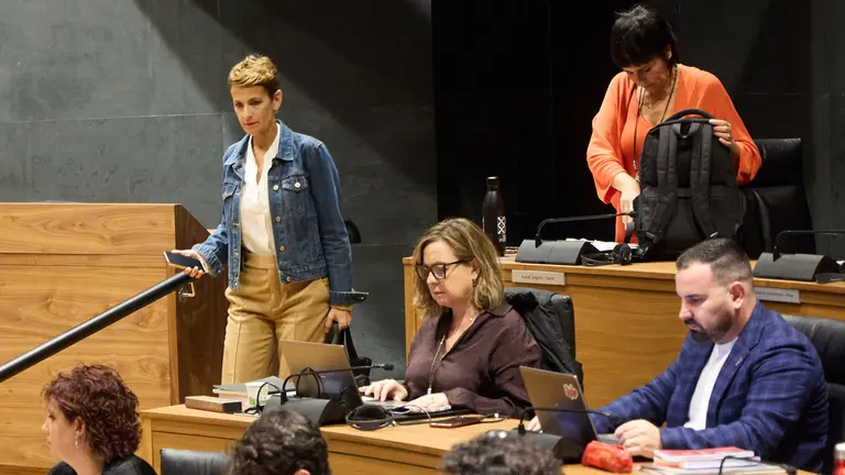 Pleno del Parlamento de Navarra. NAVARRA.COM