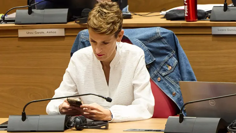 Pleno del Parlamento de Navarra. NAVARRA.COM