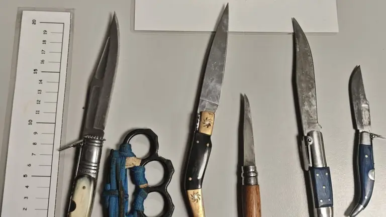 Armas decomisadas. POLICÍA FORAL