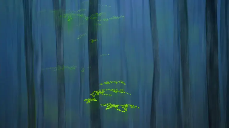 Imagen presentada al concurso por el fotógrafo navarro Iñaki Larrea. IÑAKI LARREA