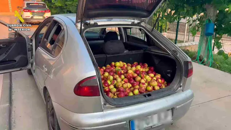 El coche llevaba 140 kilos de nectarinas robadas en un campo de La Rioja. GUARDIA CIVIL