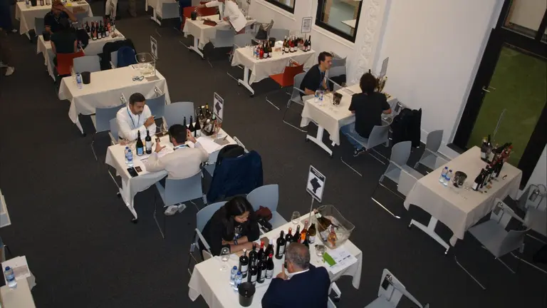 Encuentro entre bodegas de Navarra e importadores. CEDIDA