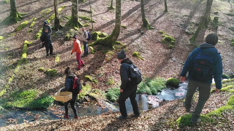 Varias personas recogen hongos en el Parque Micológico Ulzama. TURISMO DE NAVARRA