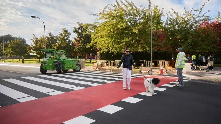 La Gerencia y la Comisión de Urbanismo del Ayuntamiento visitan las obras del proyecto de carril bici y mejora de la movilidad de la calle Irunlarrea que se están ejecutando desde el verano. NAVARRA.COM