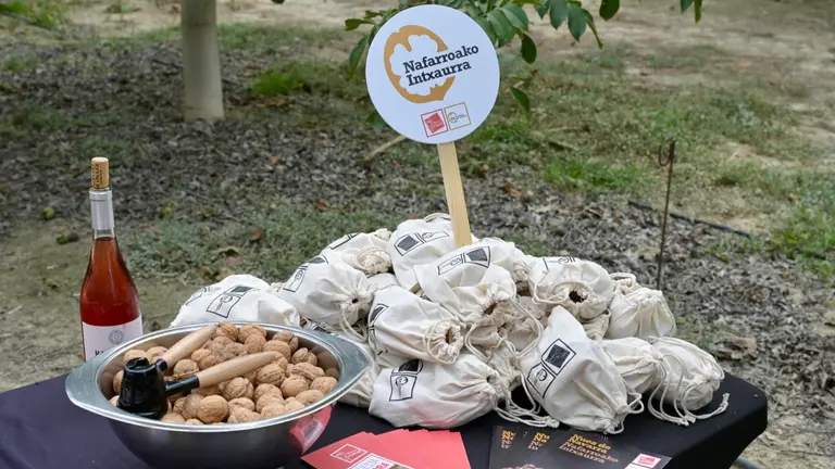 Artajona celebra la primera Intxaurraldia y da inicio a la cosecha de la Nuez de Navarra. CEDIDA