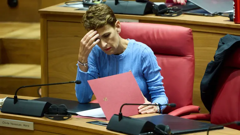 Pleno del Parlamento de Navarra. NAVARRA.COM