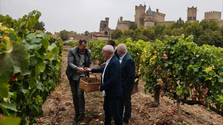 Acto del fin de la vendimia en Navarra. CEDIDA