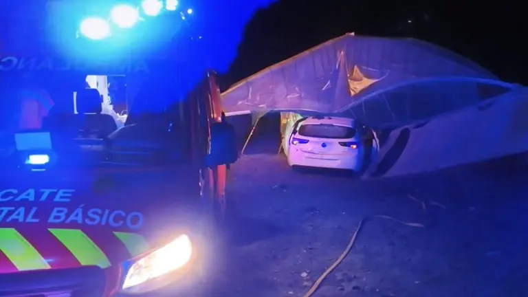 Imagen del vehículo accidentado en Peralta. CEDIDA