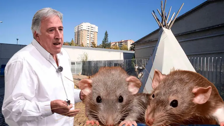 Fotomontaje con una imagen de Joseba Asirón y unas ratas sobre un vista del patio de las escuela Hello Azpilagaña. NAVARRA.COM
