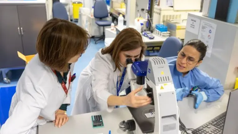 53 investigadores de la Universidad de Navarra se encuentran entre los más influyentes del mundo, según los datos recogidos en la plataforma Top 2% Scientist / Manuel Castells