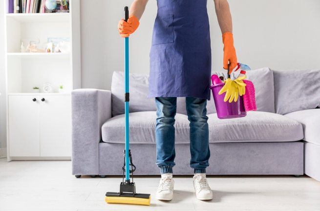 Domestina se consolida como la
plataforma l&iacute;der en servicios de limpieza
del hogar. CEDIDA