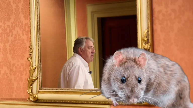 Fotomontaje con una imagen del alcalde de Pamplona, Joseba Asir&oacute;n y otra fotograf&iacute;a de una rata. NAVARRA.COM