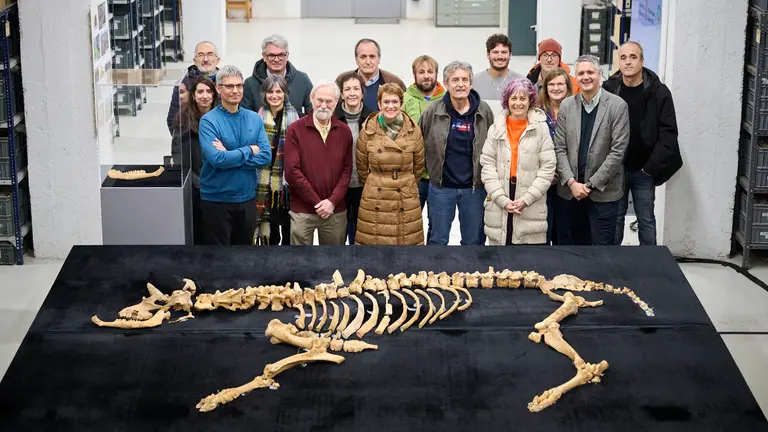 Presentaci&oacute;n de un bisonte de hace 4000 a&ntilde;os, nuevo hallazgo arqueol&oacute;gico en el Parque de Urbasa, en Navarra. PABLO LASAOSA