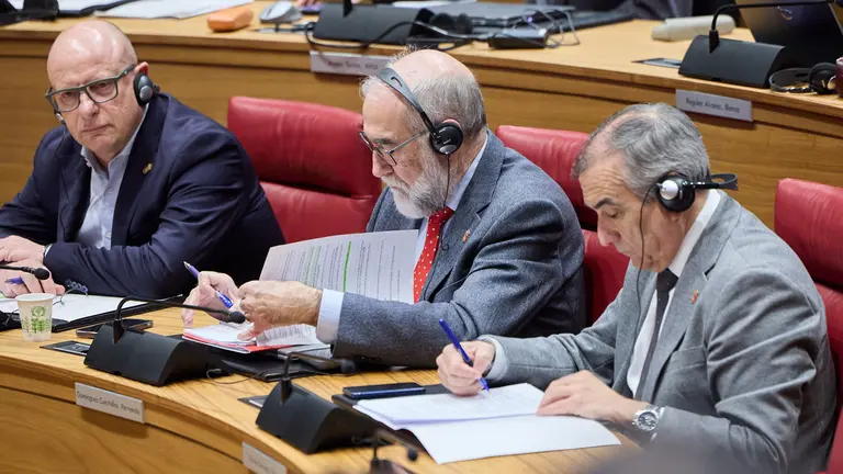 Pleno del Parlamento de Navarra. I&Ntilde;IGO ALZUGARAY