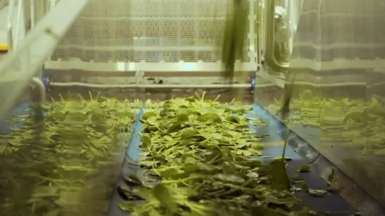 Imagen del proyecto BIOREVEAL. ADITECH