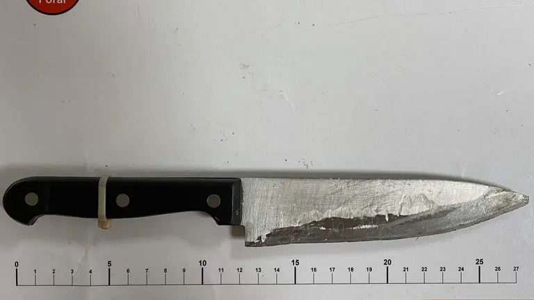 Detenido en Mendillorri un joven de 29 a&ntilde;os que amenaz&oacute; con un cuchillo a transe&uacute;ntes y ni&ntilde;os junto a un parque de Pamplona.