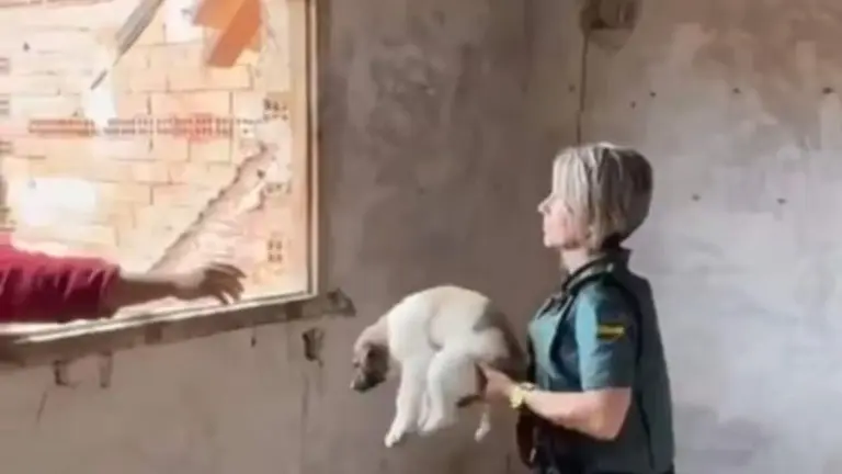 Imagen del rescate de los cachorros en Fitero. GUARDIA CIVIL