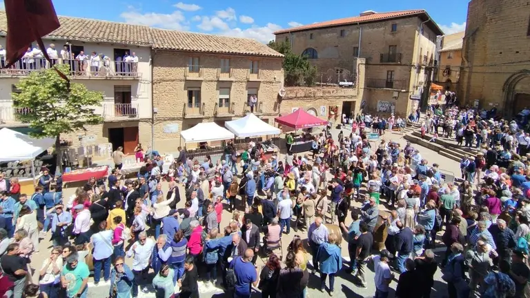 Fotografías de la edición de 2024 del Día del Rosado. CONSORCIO ZONA MEDIA