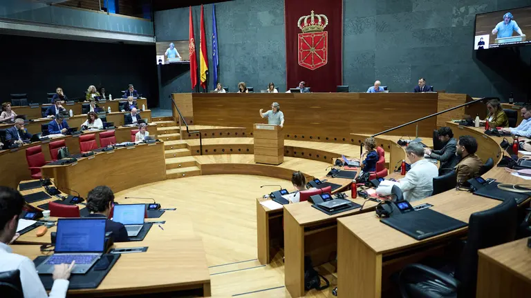 Pleno del Parlamento de Navarra. NAVARRA.COM
