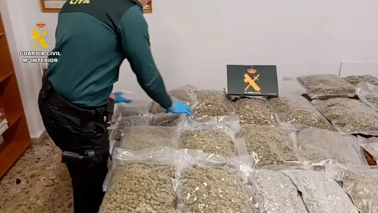 Imagen de la incautaci&oacute;n de las drogas por parte de Guardia Civil. CEDIDA