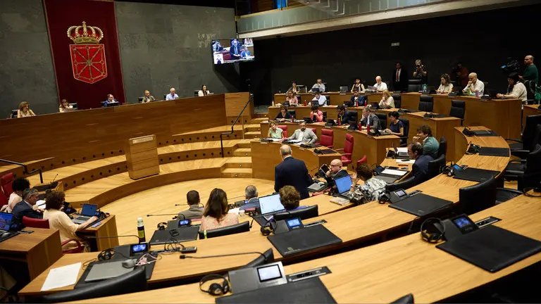 xPleno del Parlamento de Navarra. NAVARRA.COM
