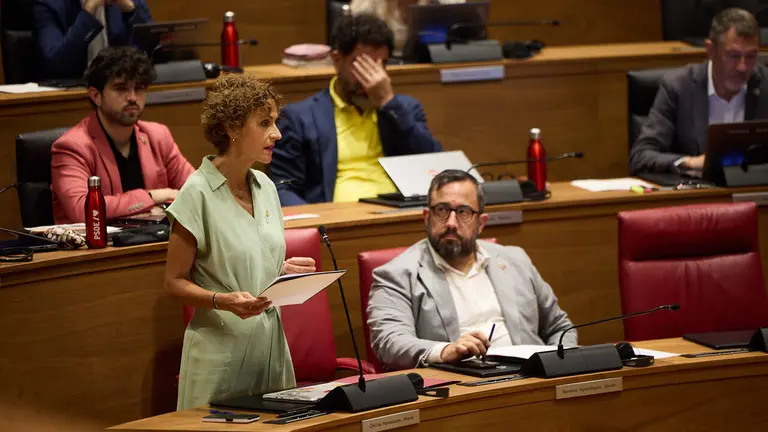 Pleno del Parlamento de Navarra. NAVARRA.COM