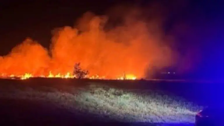 Las llamas del incendio en Mendavia. GUARDIA CIVIL