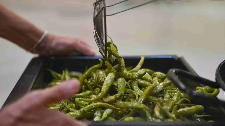 Guindillas fritas preparadas para ser degustadas en Murillo el Fruto. CEDIDA