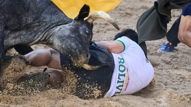 Tarde de vaquillas en fiestas de Bara&ntilde;ain 2026 con la ganader&iacute;a Bretos, amenizadas por Gaiteros de Bara&ntilde;&aacute;in. PABLO LASAOSA